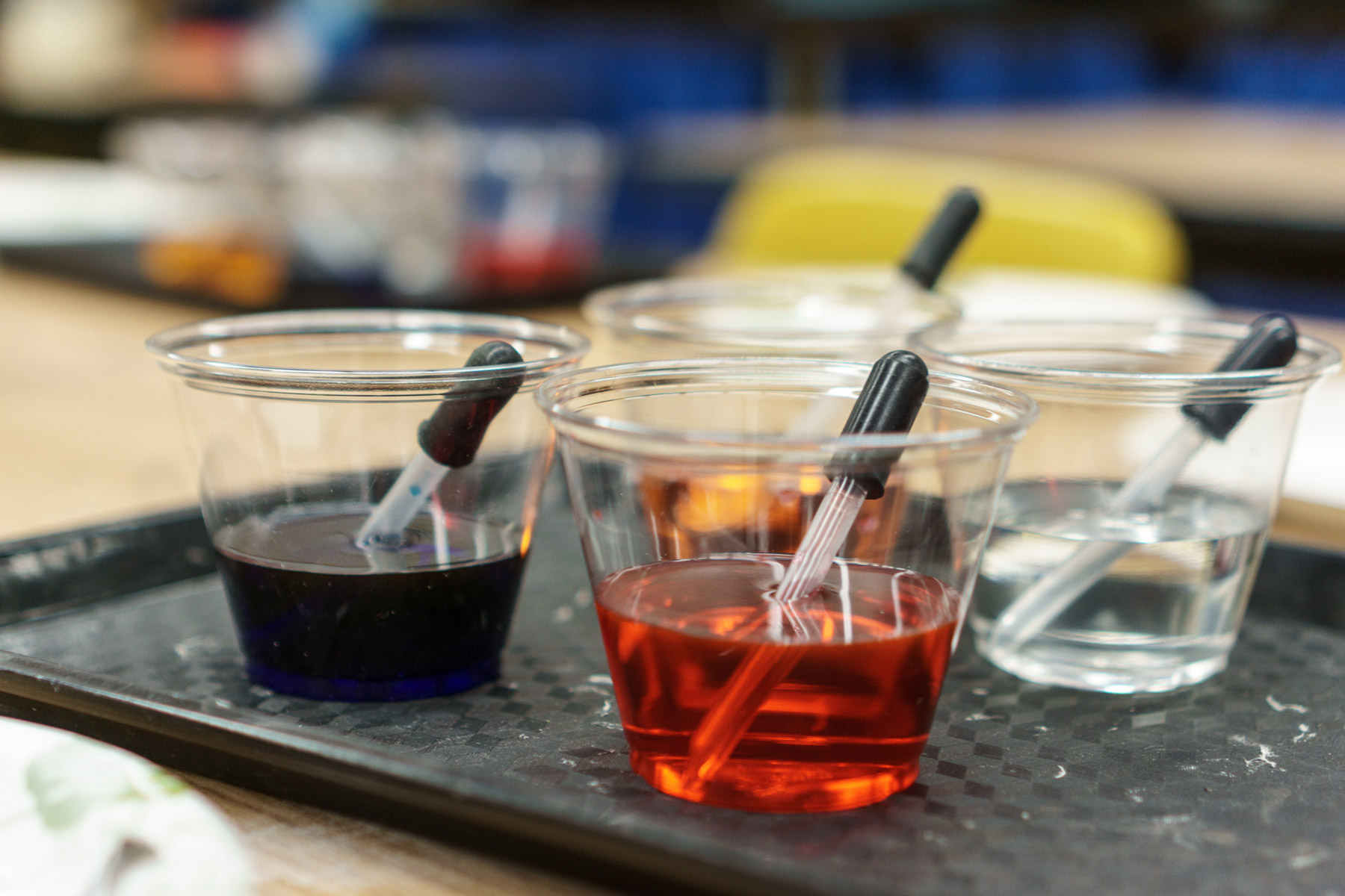 Fête de la Science en Ardèche