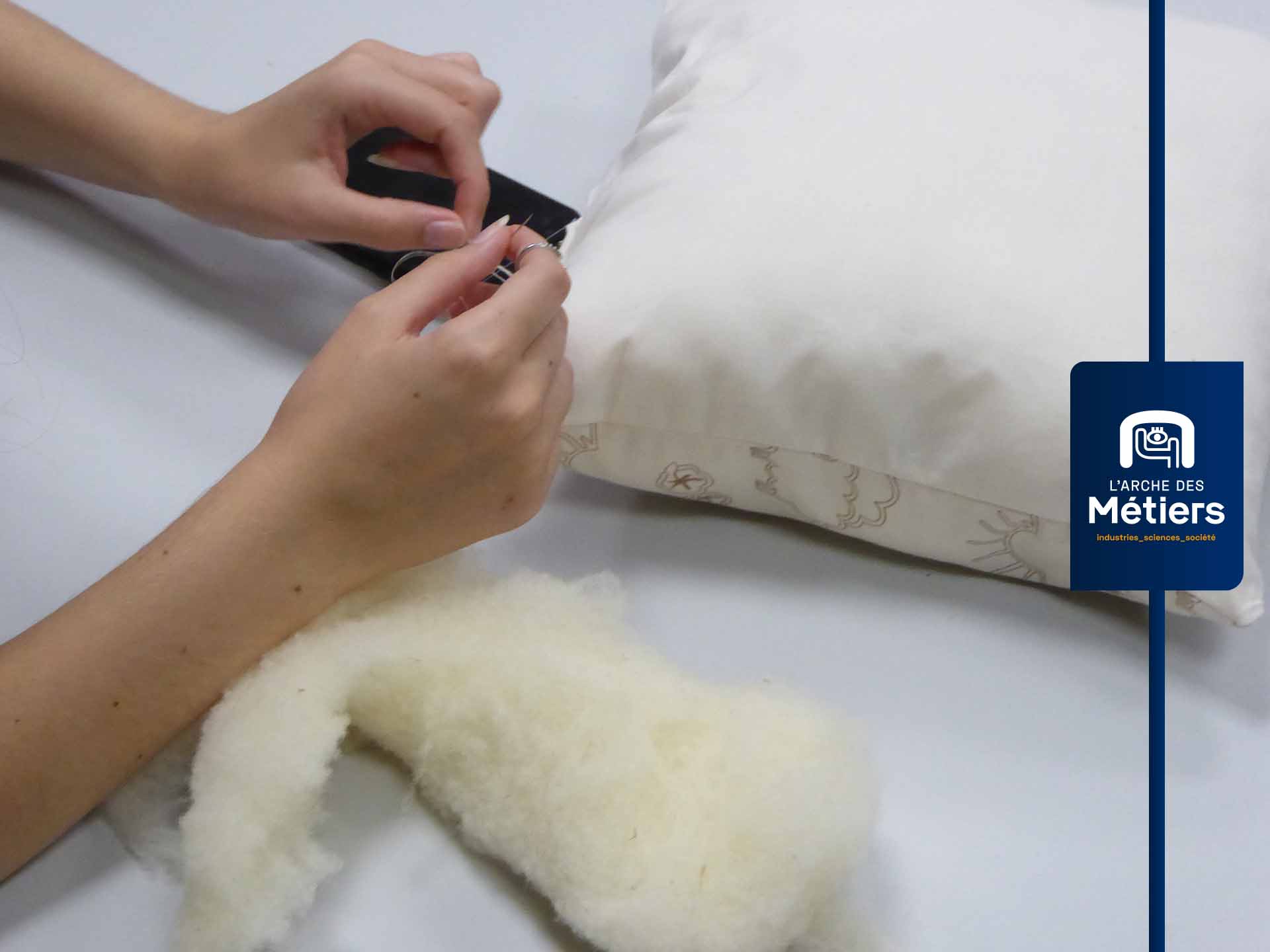 adm-animation-coussin-tout-doux-01.jpg