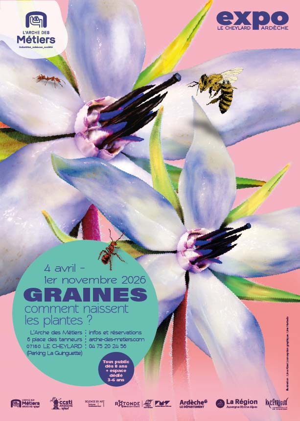 Graines-comment naissent les plantes ? L'Affiche
