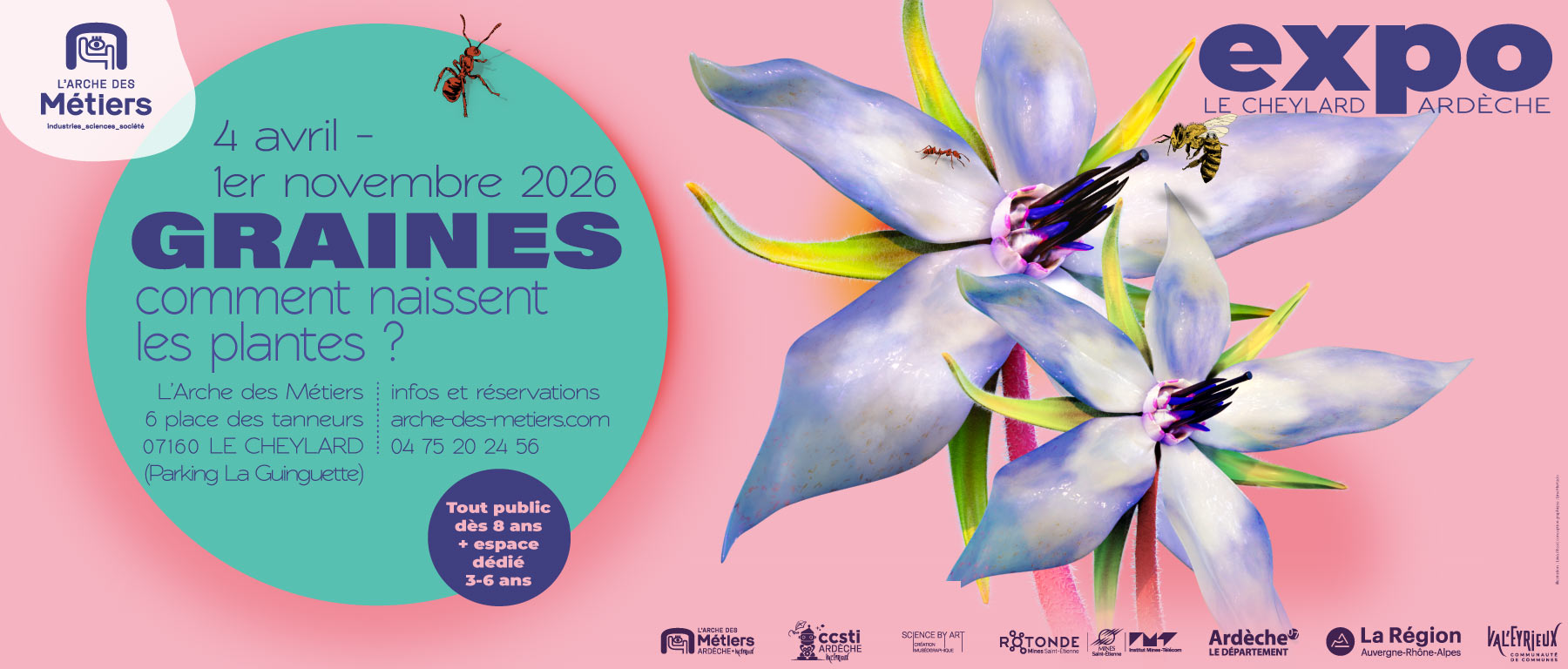 GRAINES : comment naissent les plantes ?