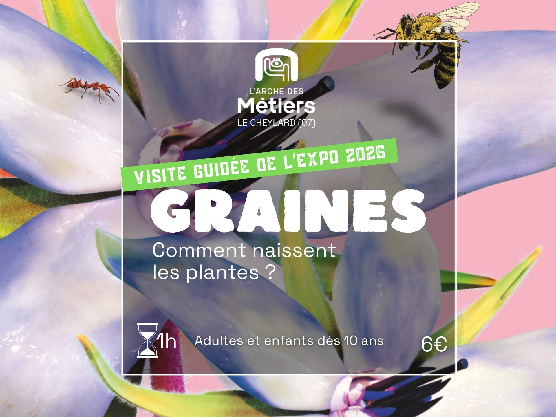 Visite guidée de l’exposition Graines